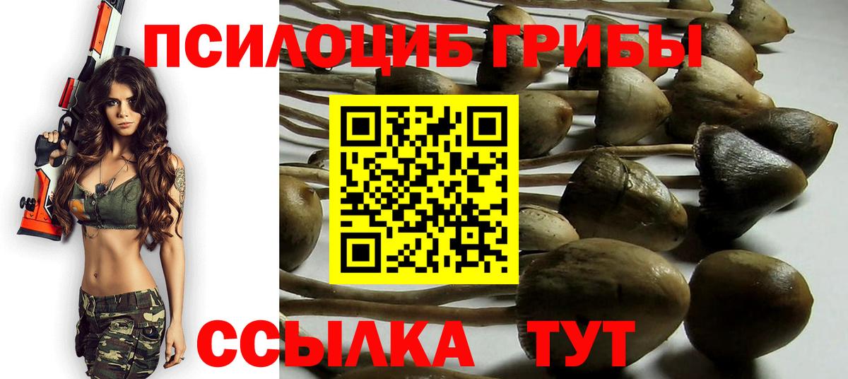 Учалы  Псилоцибиновые грибы Psilocybe  даркнет сайт  Вход с VPN 